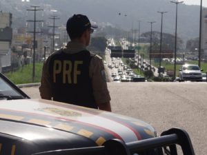rodovida