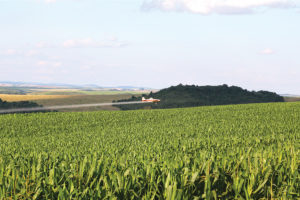 avisao
