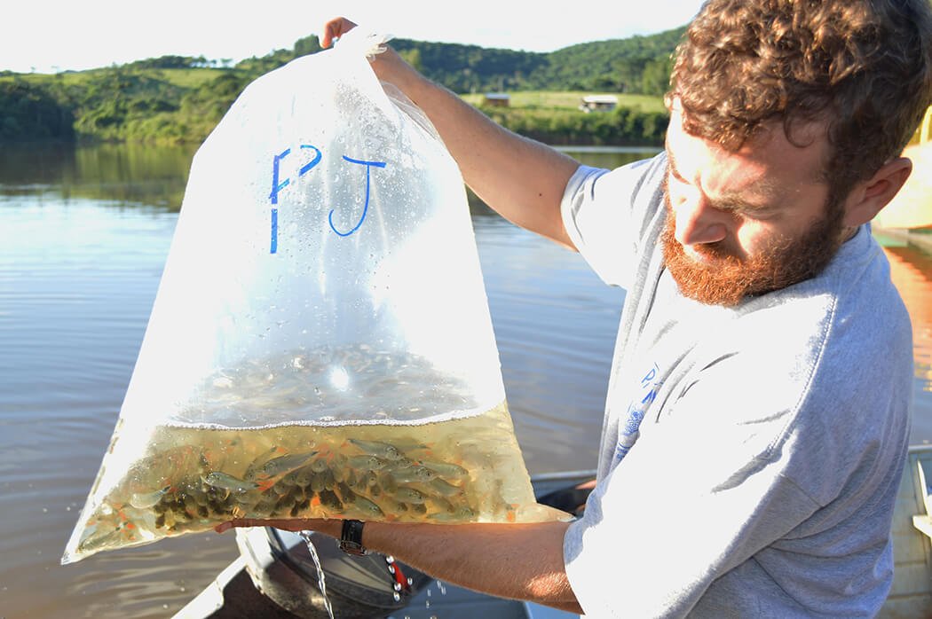 ENERCAN realiza soltura de peixes para repovoamento do reservatório