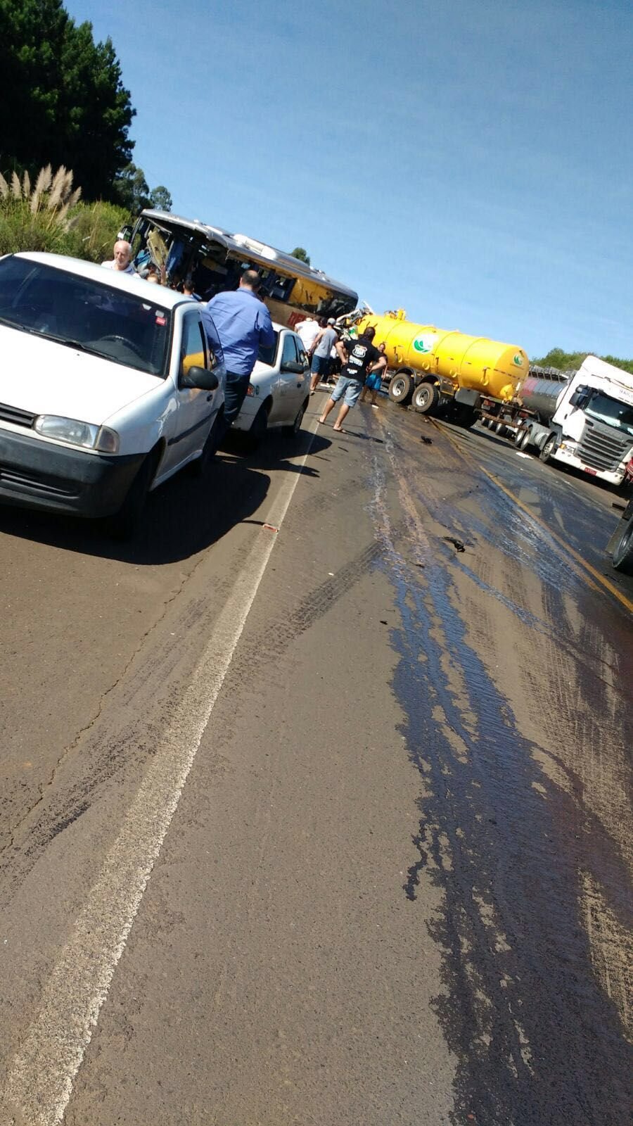 Acidente entre ônibus e caminhão deixa mortos e feridos – Atualizada