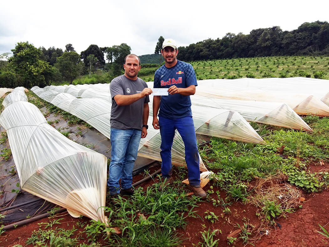 Projeto de Produção de Morango já comercializa produto