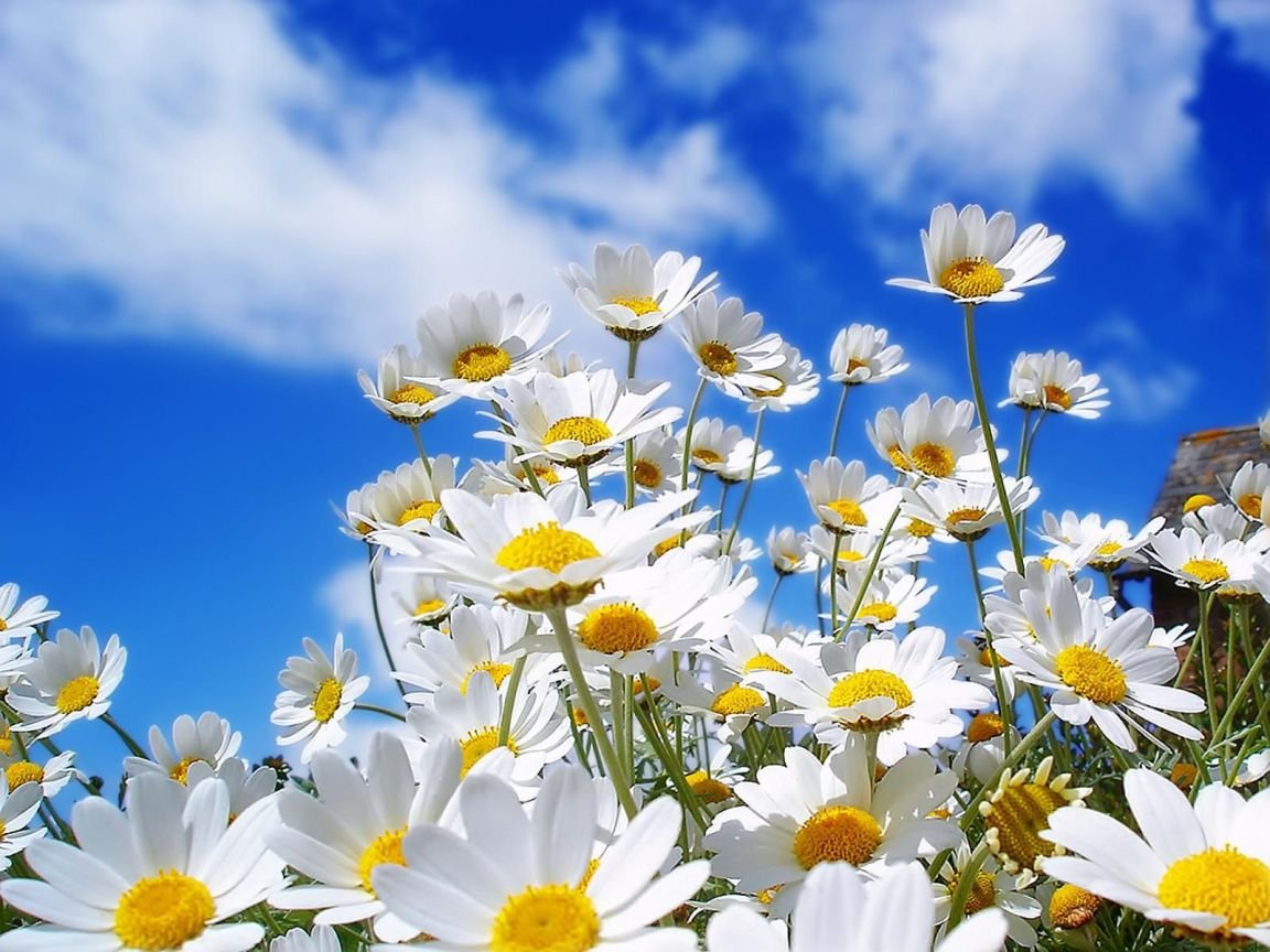 Primavera inicia com clima seco