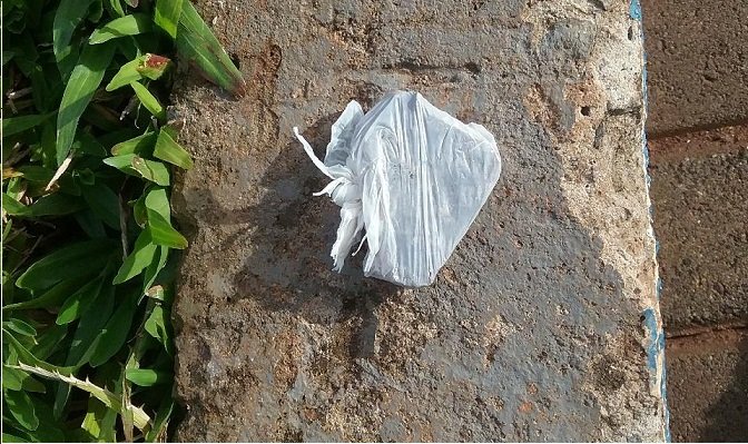 Maconha escondida no banheiro da praça