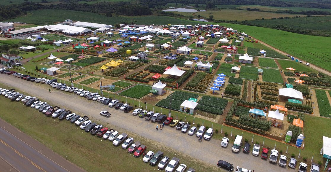 Pecuária fortalecida no 22º Dia de Campo Copercampos