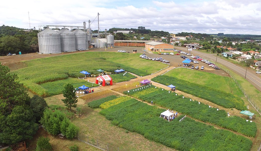4º Dia de Campo da Coocam em Lebon Régis apresenta novidades do agronegócio