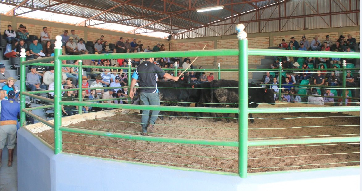 Qualidade comprovada em pista