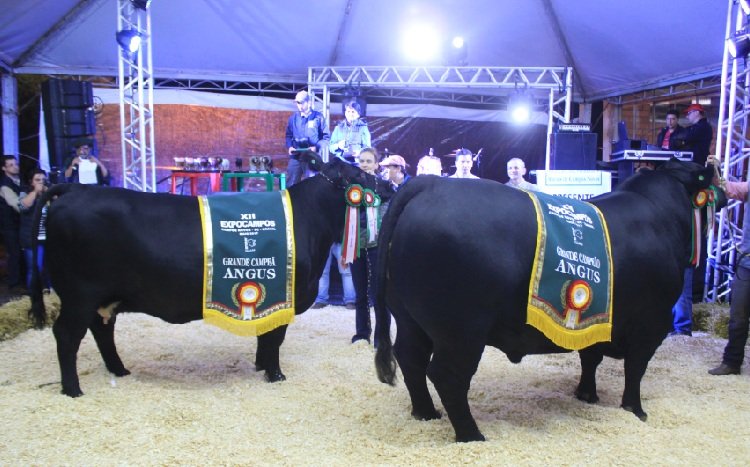 Pecuária é destaque na ExpoCampos 2017
