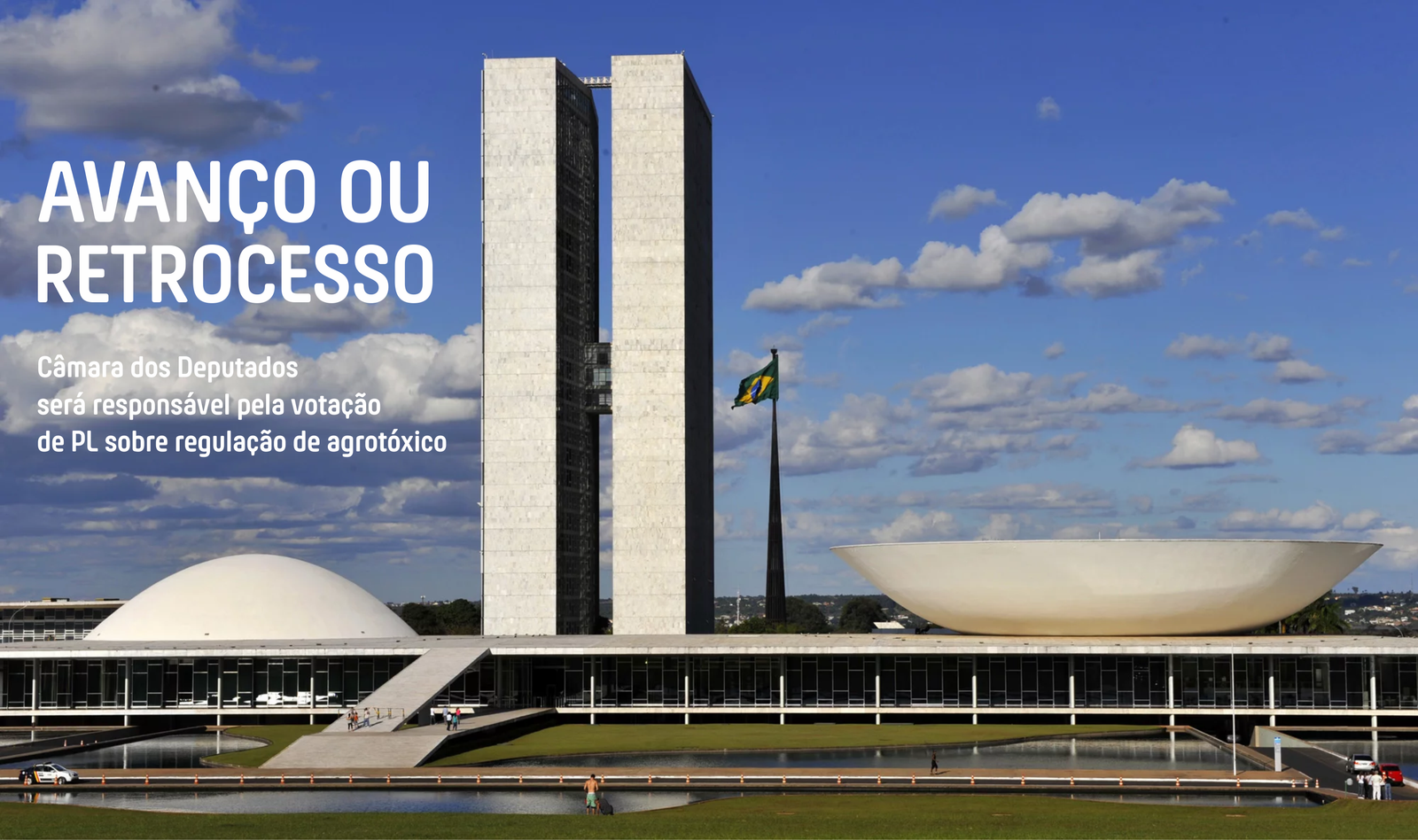 Câmara dos Deputados terá a responsabilidade de decidir sobre Lei que flexibiliza uso de agrotóxicos