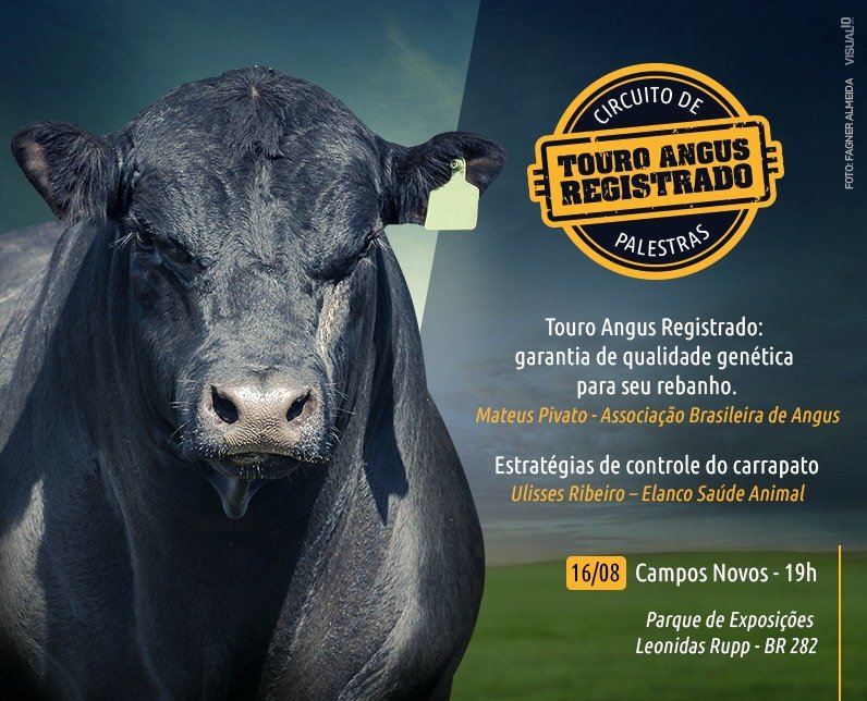 Campos Novos abre Circuito Touro Angus Registrado em SC