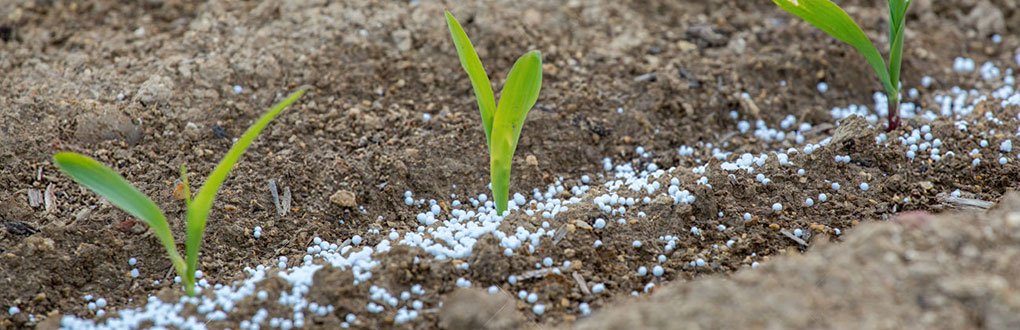 Convênio entre Sicredi e Fecoagro cria linha de crédito para aquisição de fertilizantes