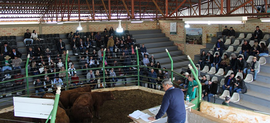 Sindicato dos Produtores Rurais atinge meta e movimenta mais de R$ 1 milhão na Feira do Terneiro