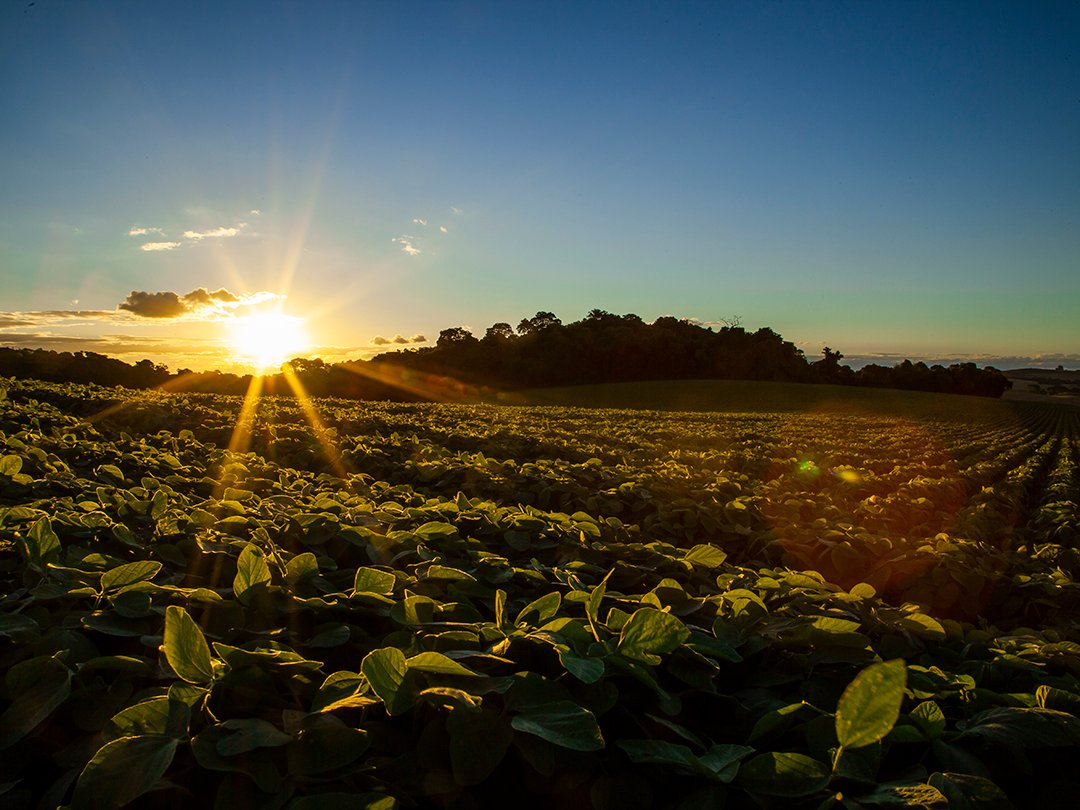 Representantes do agronegócio se mostram preocupados com situação climática do estado