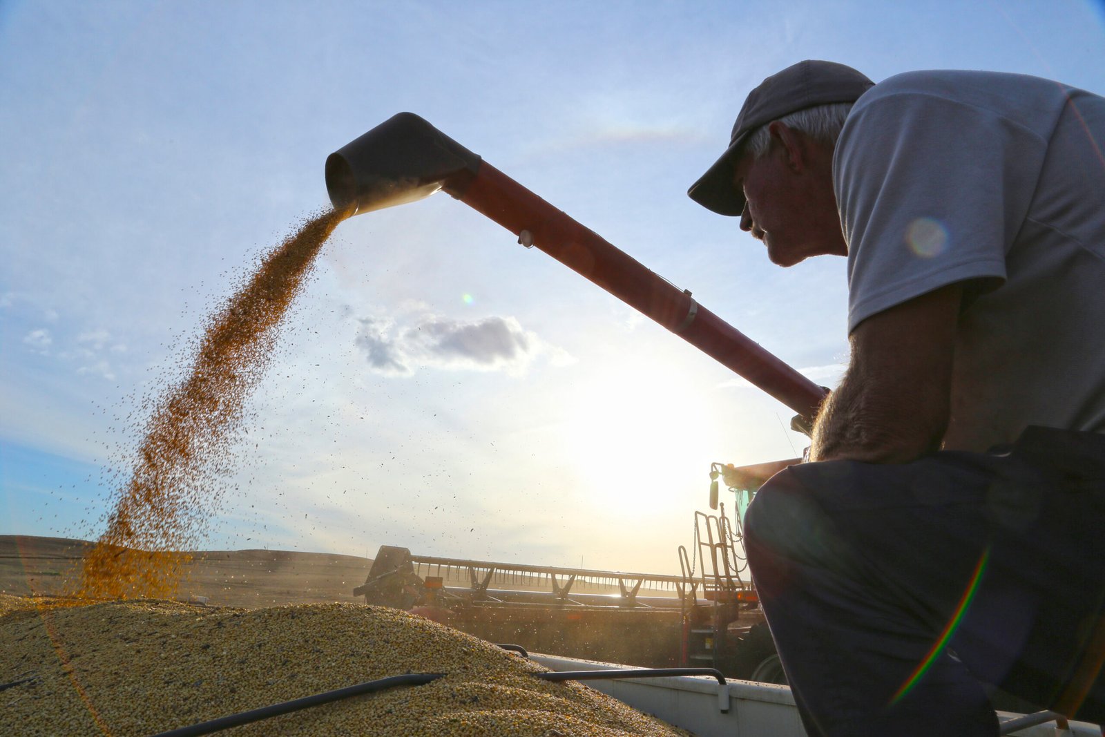 A prova de crise? Agronegócio é o único setor que prevê crescimento no PIB