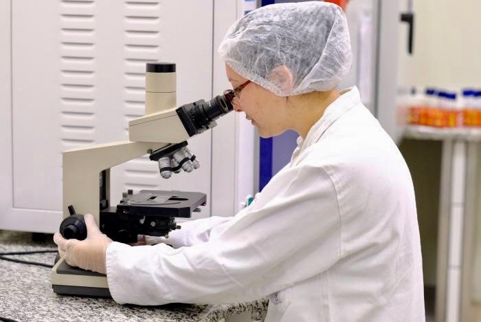 BRF detalha processo de criação de suínos livres do uso de antibióticos promotores de crescimento