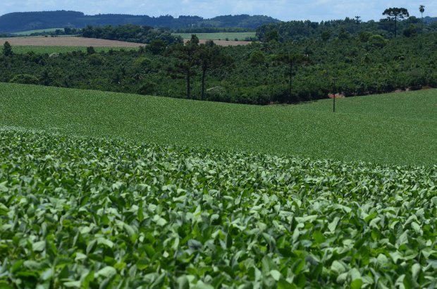 Cidasc emite comunicado sobre proibição de fabricação, comércio, prescrição e uso do herbicida Paraquat no Brasil