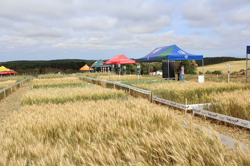 Copermap realiza 2° edição do Dia de Campo de Inverno levando alternativas ao produtor
