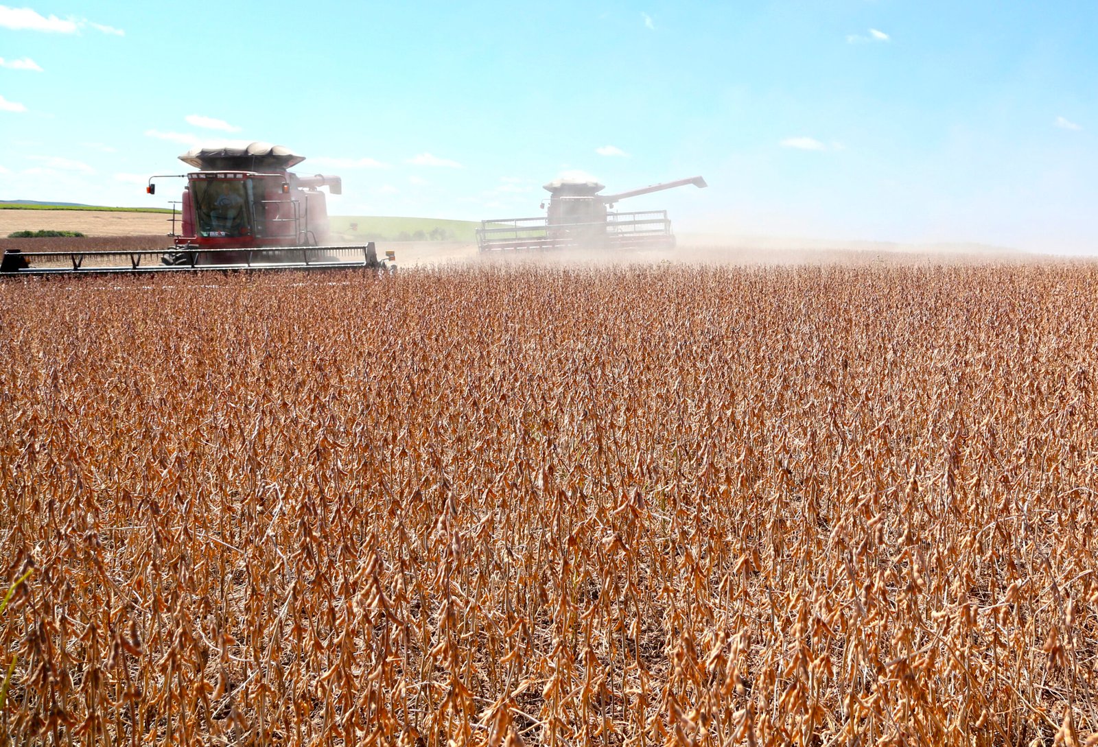 Ipea projeta crescimento do PIB agro em 1,2% para 2021