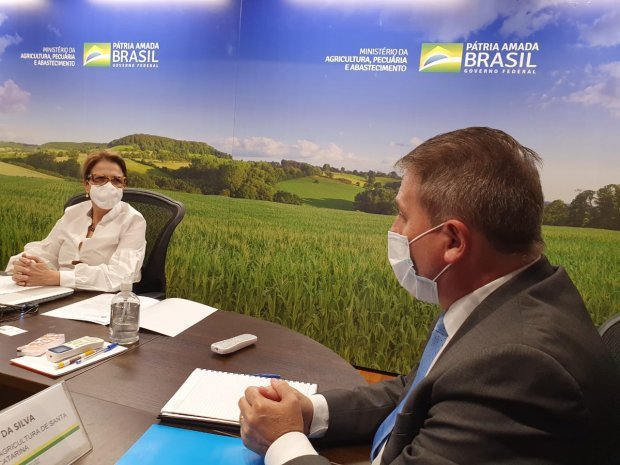 Milho e internet em SC são temas de reunião entre Estado e Ministério da Agricultura