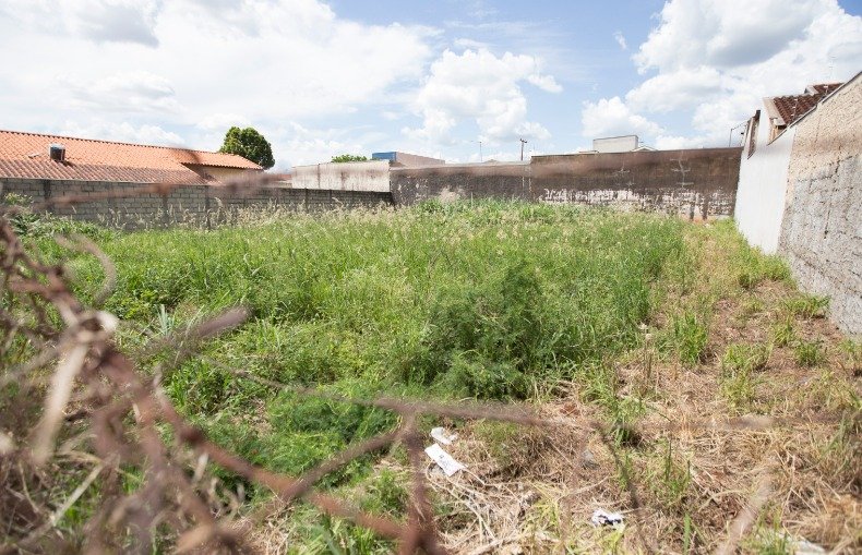 Proprietários que não mantiverem terreno limpo serão multados em R$ 387 em Campos Novos