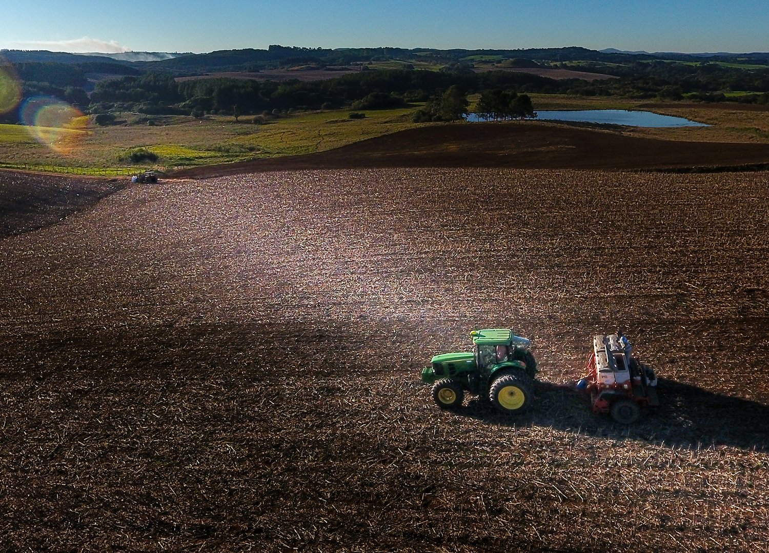 Copercampos terá incremento de 50% na área de trigo nesta safra