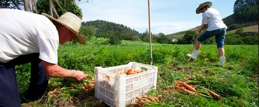FAESC aprova nova definição de agricultor familiar