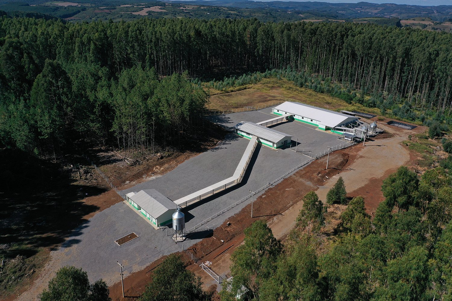 Copercampos finaliza obras da Central de Sêmen e DB inicia povoamento da granja