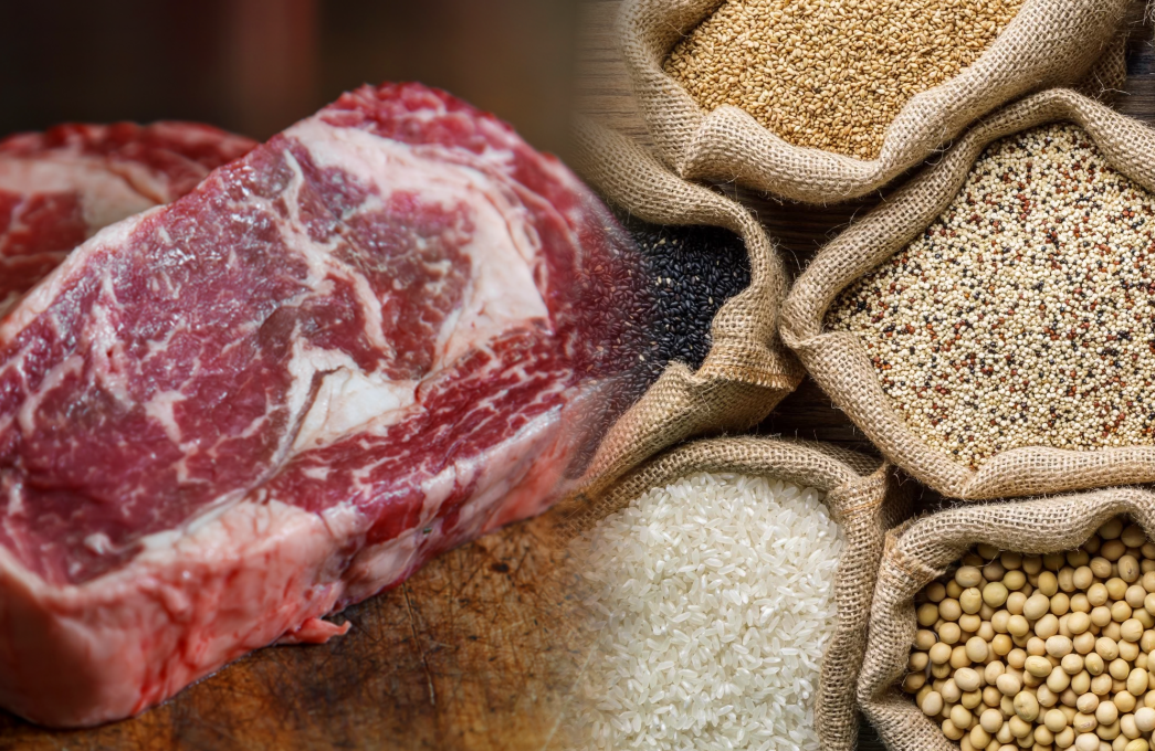 O mercado da Carne e Grãos Qual a relação entre eles?
