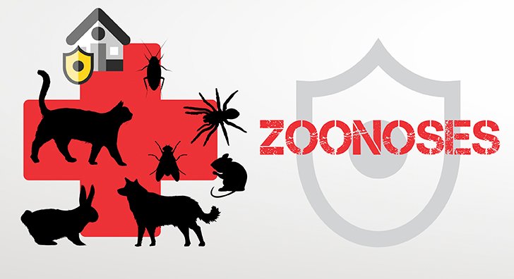 Prevenção contra Zoonoses: Qual o papel da população?
