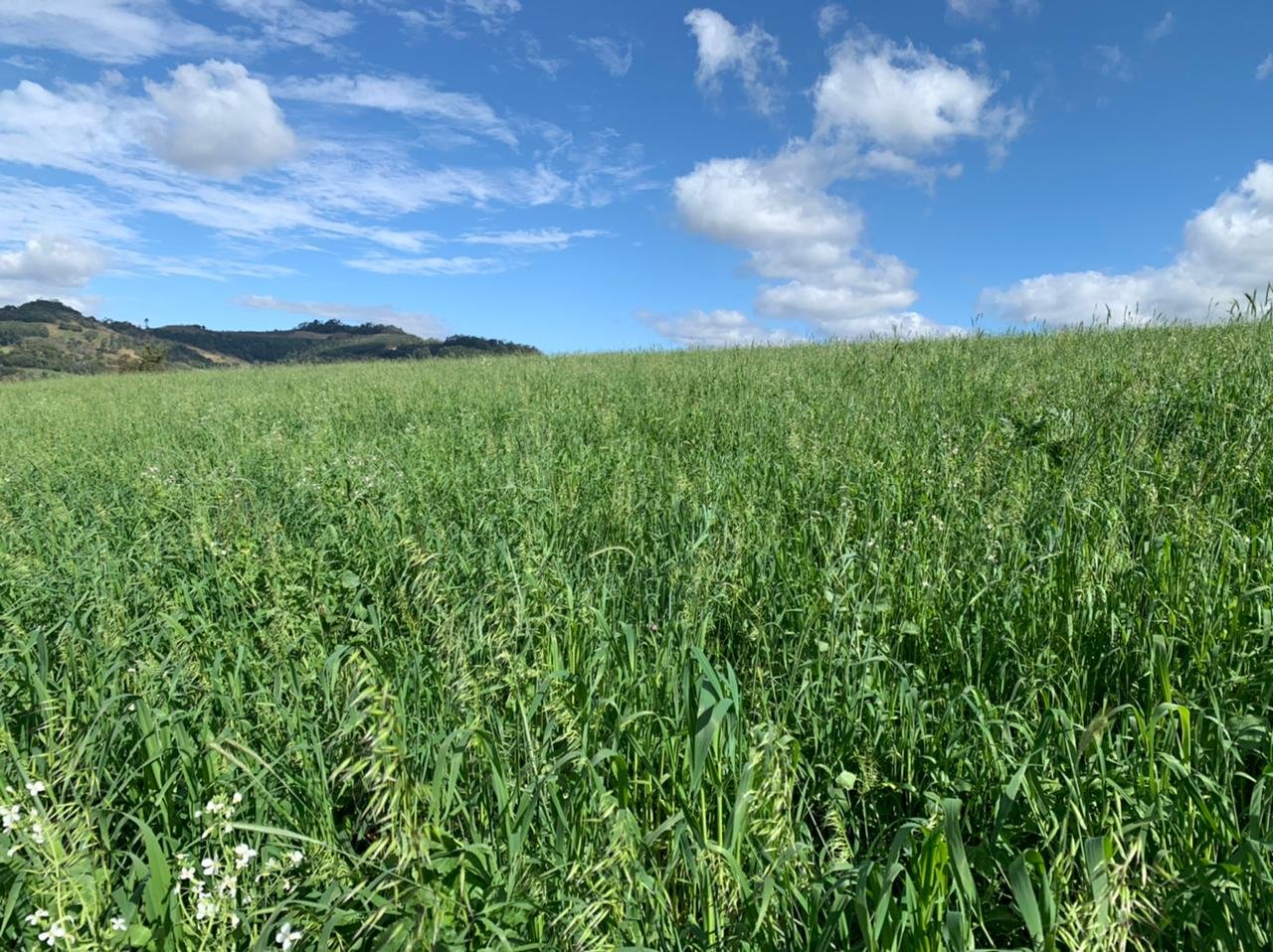 Produtores rurais de Santa Catarina contam com apoio do Governo do Estado para melhoria do solo