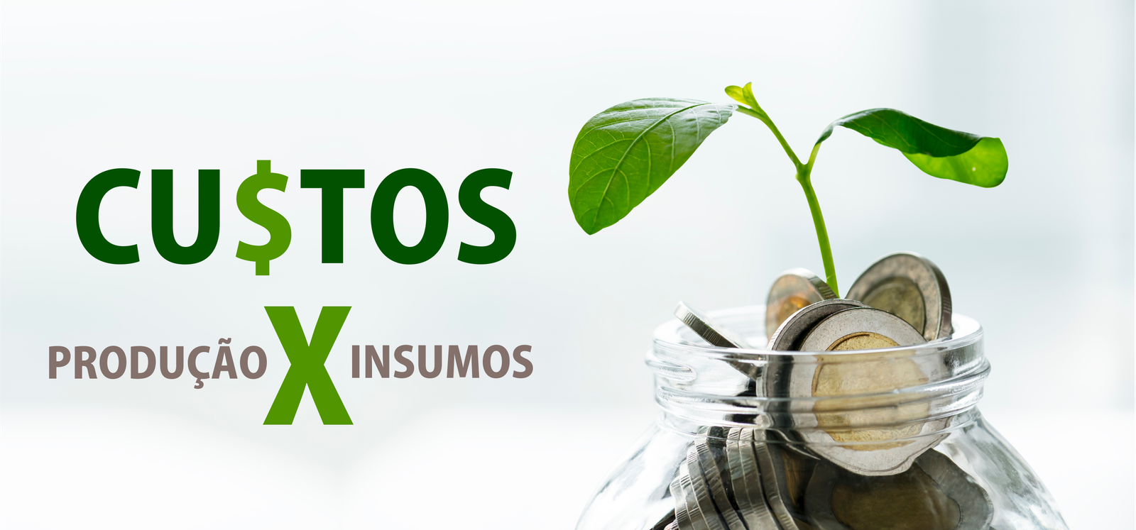 Custos de produção: Por que não produzimos nossos próprios insumos agrícolas?