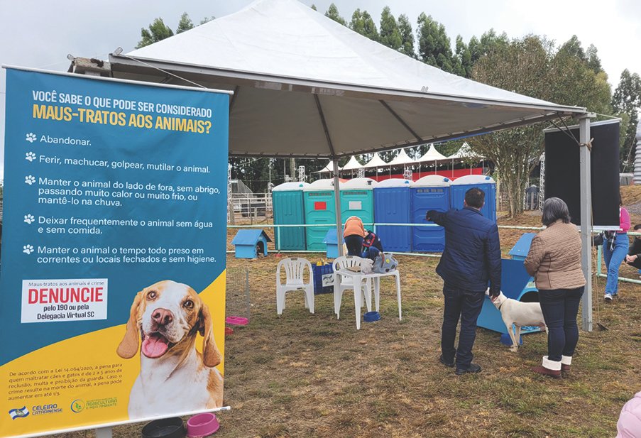 Animais resgatados nas ruas são adotados durante a Expocampos