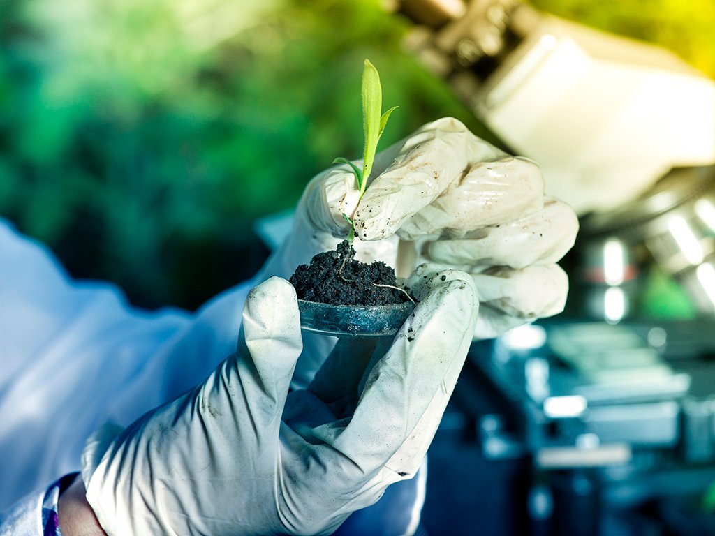 Pesquisador da Embrapa fala sobre utilizações de bioinsumos na agricultura