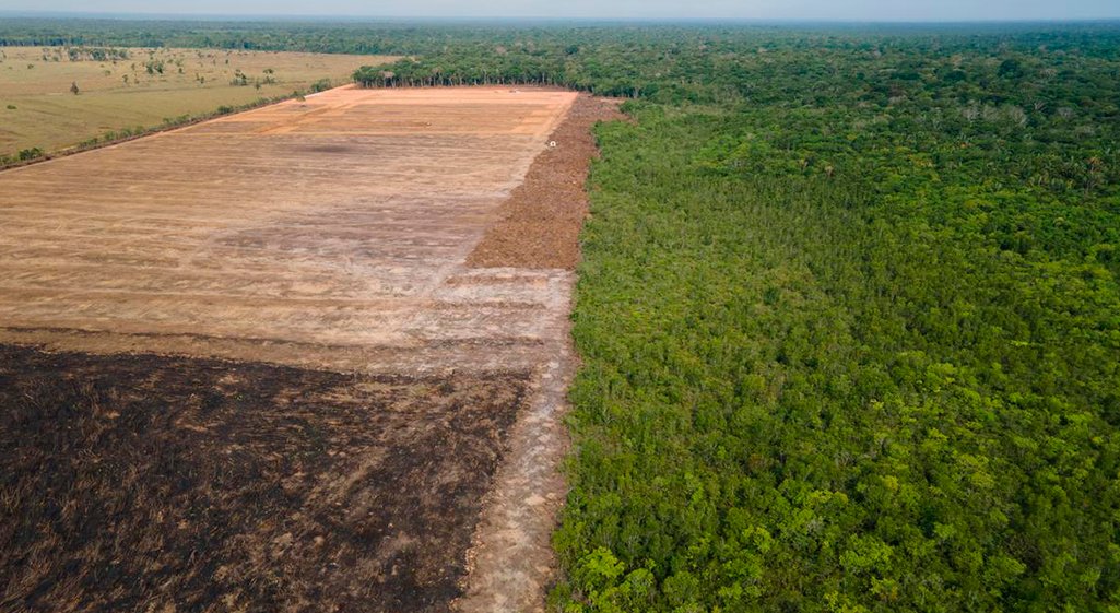 Meio Ambiente e Produção Rural: O que prevê o Código Florestal Brasileiro