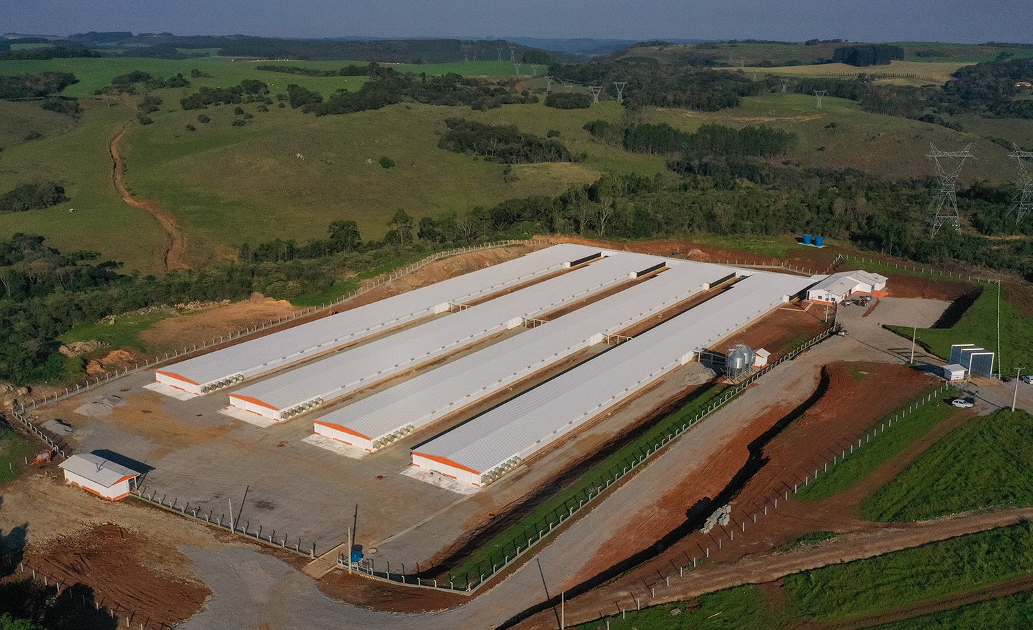 Núcleo de ovos férteis Copercampos entra em operação