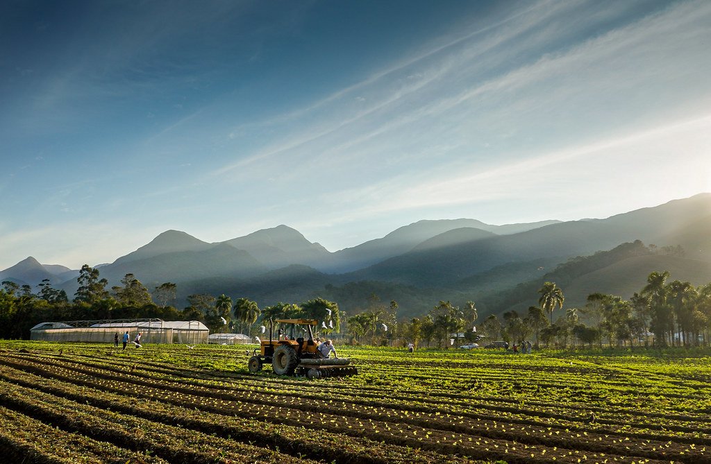 Balanço de gestão: Epagri impulsiona agricultura e pesca familiar catarinense nos últimos quatro anos