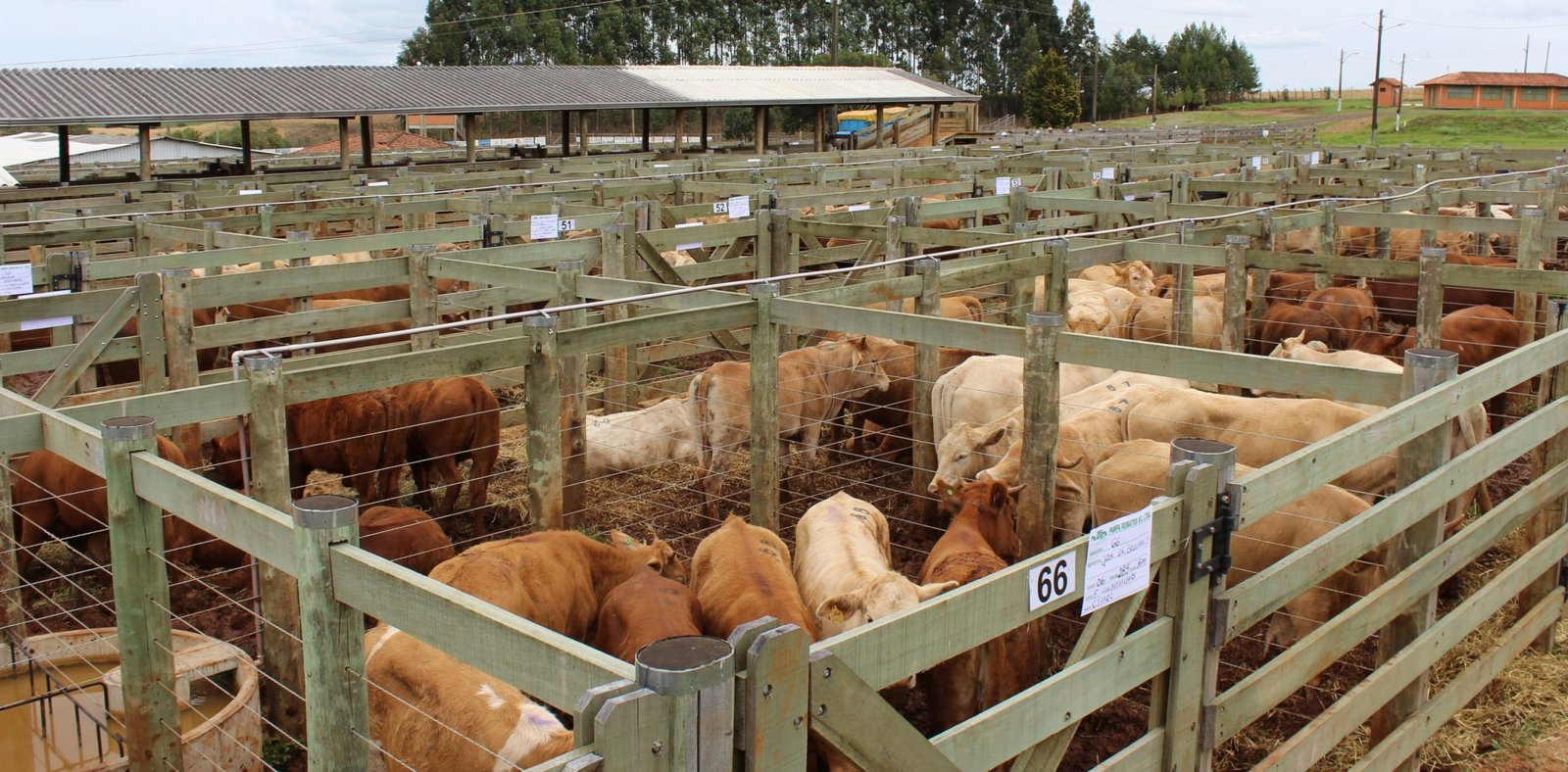 Presidente do SPRCN avalia de forma positiva 2022 e vislumbra grandes ações em prol do Produtor Rural para este ano