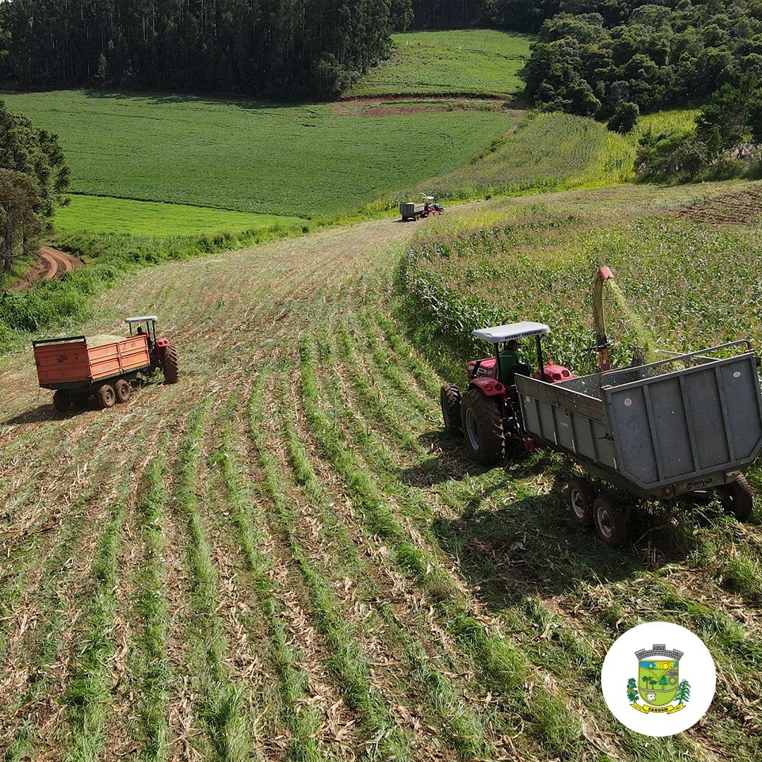 Agricultura em Vargem: Produtores utilizam horas/máquinas para silagem