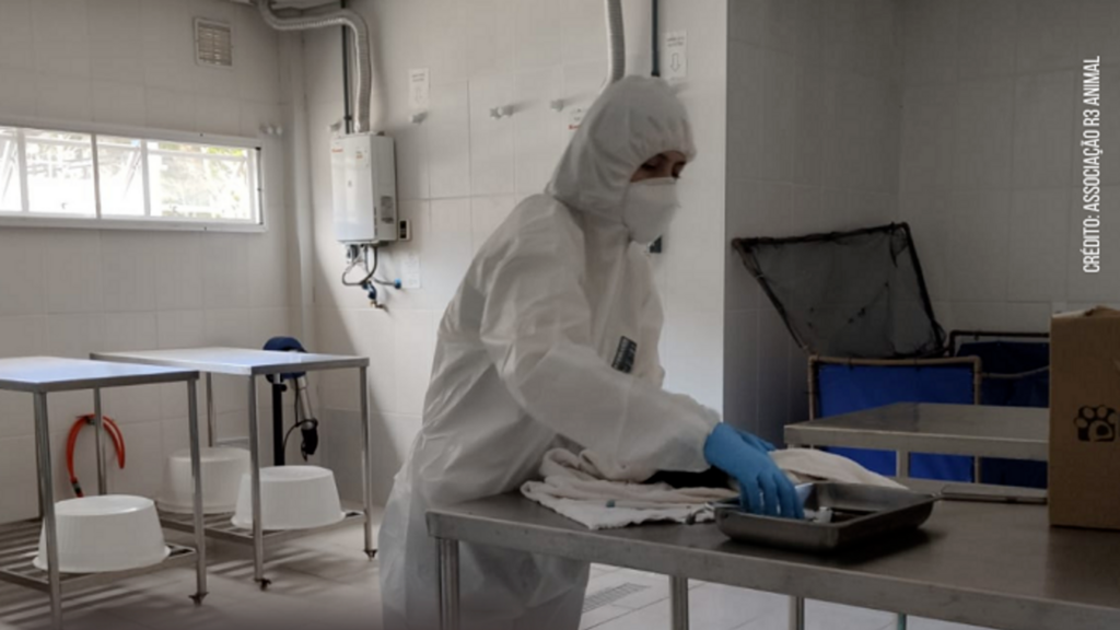 A força-tarefa de médicos-veterinários de SC para evitar a entrada da gripe aviária no país