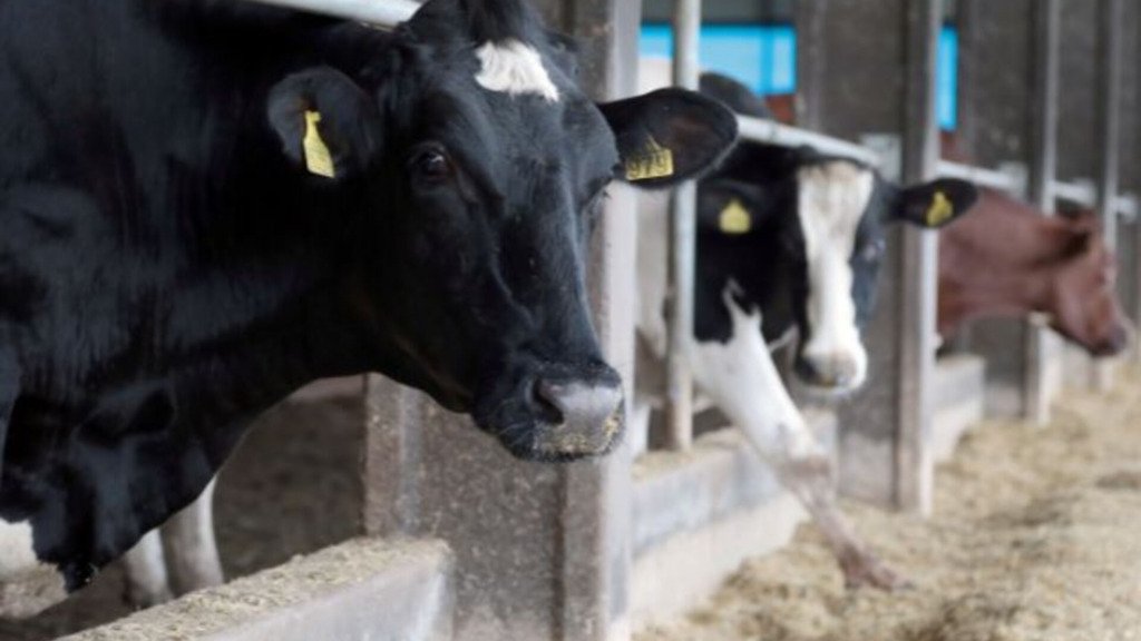Produção de leite cresce em Santa Catarina e diminui na maioria dos estados