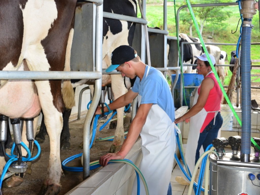 Importação de leite aumenta no país, mas cenário para produtores catarinenses ainda é melhor que 2022