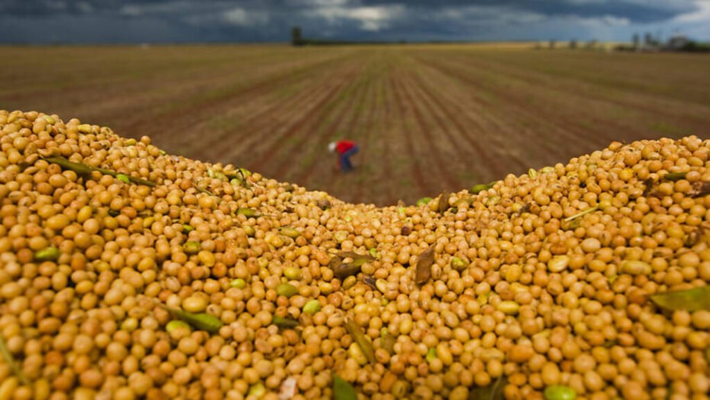 Governo lança Plano Safra de R$ 364,22 bilhões para agronegócio