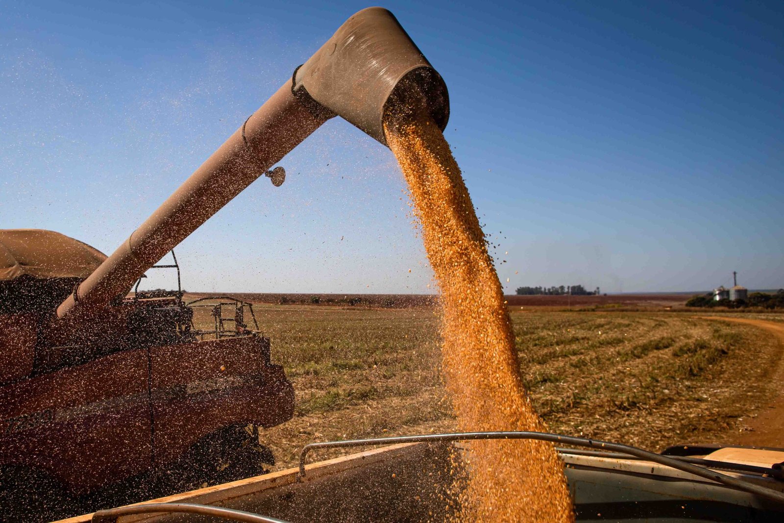 Projeto Campo Futuro levanta custos de produção de grãos em SC