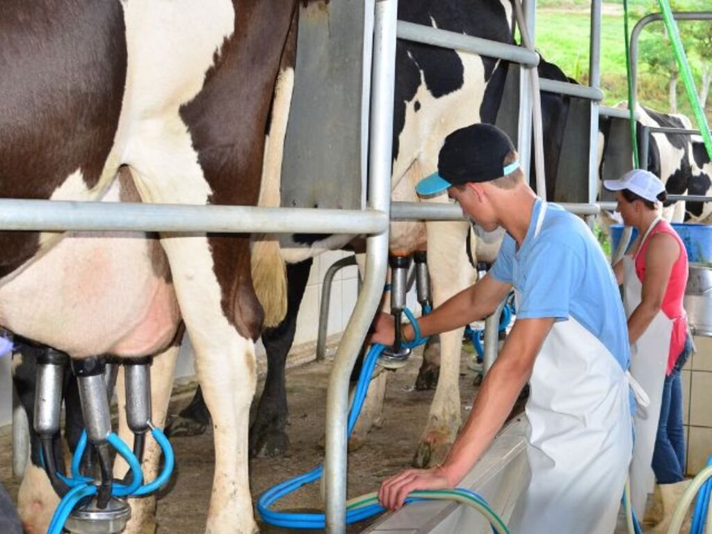 Importação de leite cresce no 1º semestre de 2023 e mobiliza representantes do setor