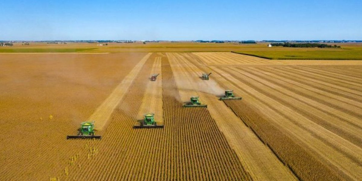 Campos Novos lidera lista e se torna coração do agronegócio de SC