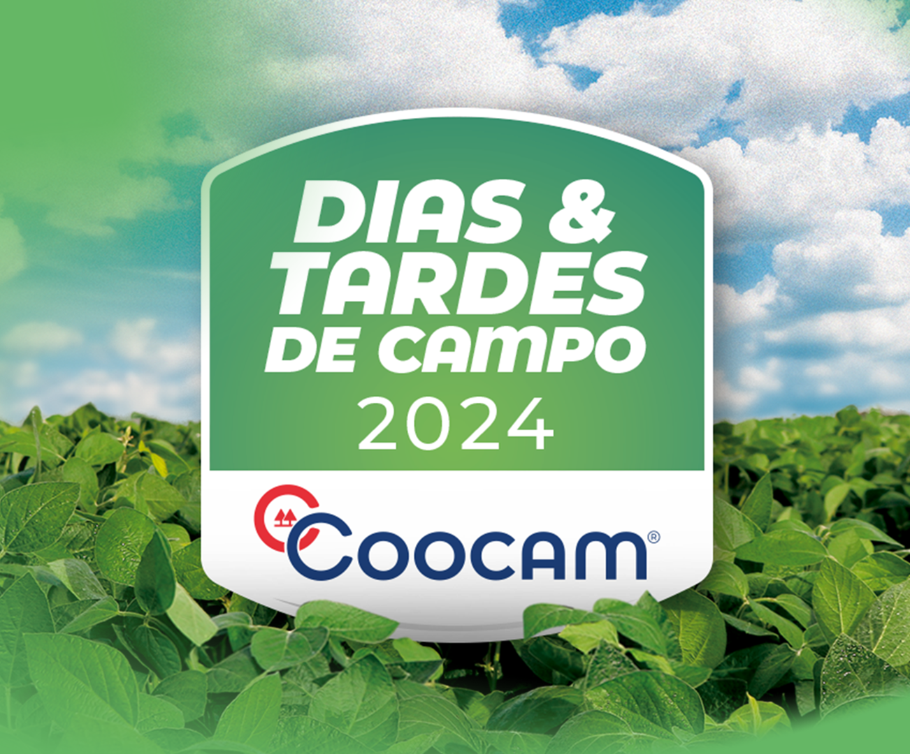 Dias de Campo Coocam – oportunidade para conhecer as novidades tecnológicas do setor