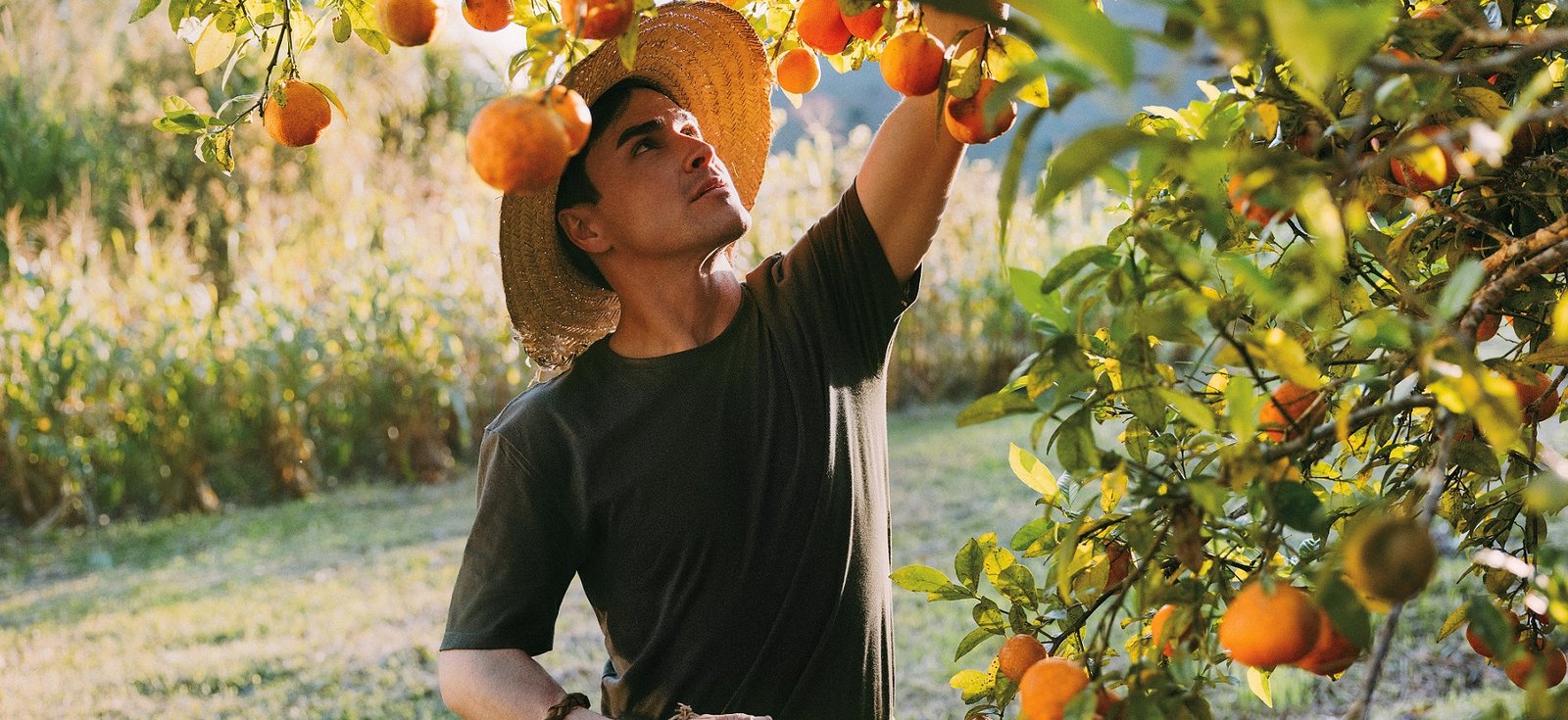 Confira oito dicas para fazer o seu agronegócio prosperar