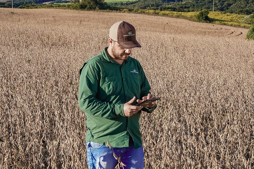Copercampos implementa digitalização na área de sementes