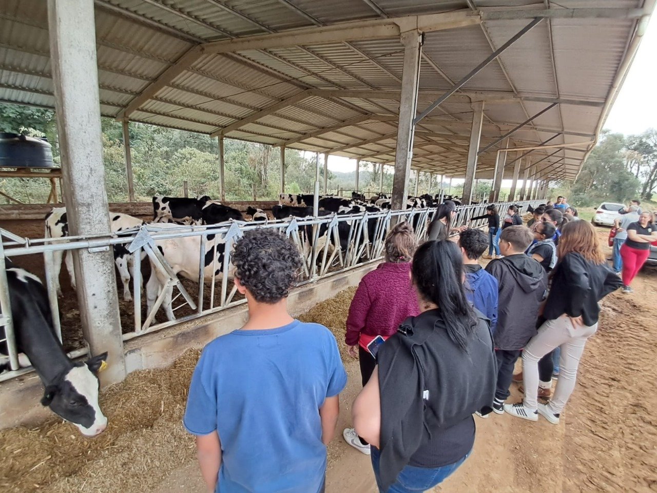 Jovens do Novos Caminhos visitam granja leiteira para conhecer o setor agropecuário