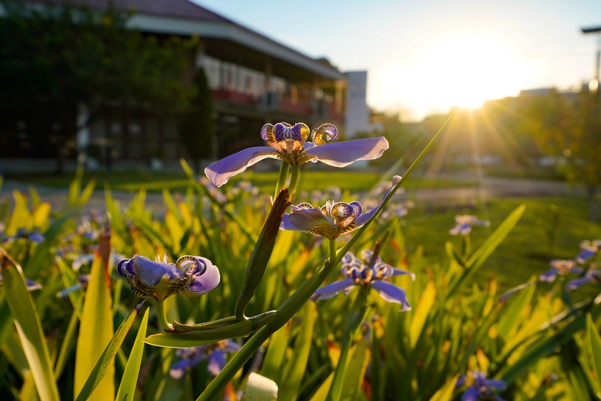 Primavera começa no domingo, com temperatura acima da média em SC