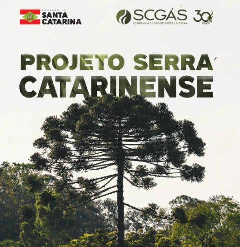 SCGÁS inaugura Projeto Serra Catarinense na próxima semana em Lages